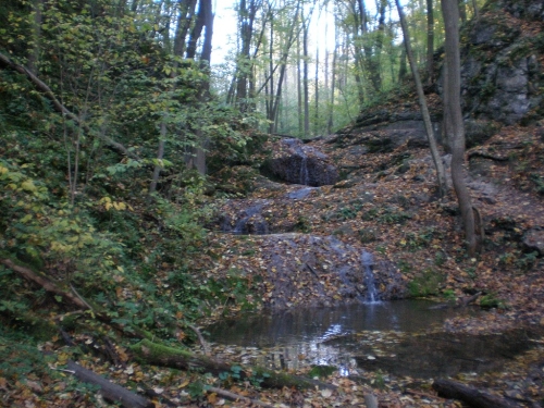 Obrázek