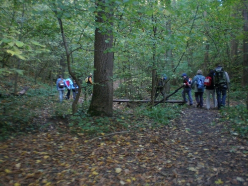 Obrázek