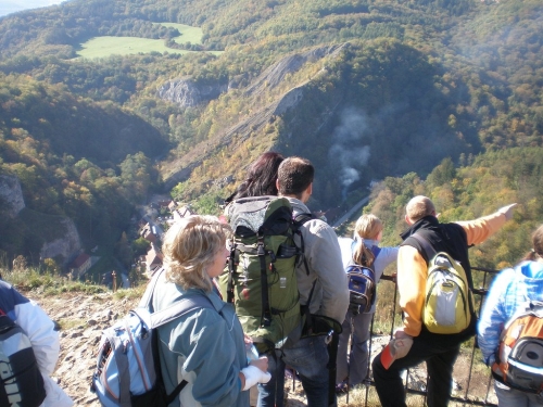 Obrázek