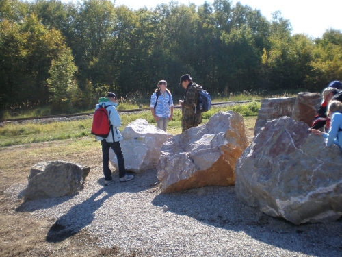 Obrázek