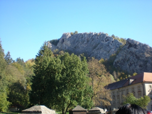 Obrázek