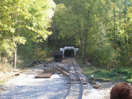 Obrázek