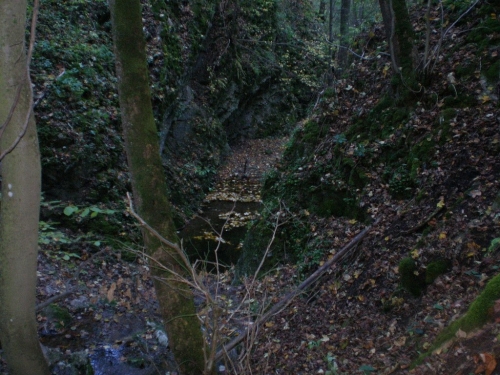 Obrázek