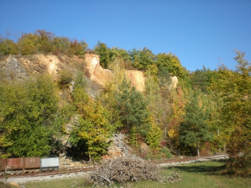 Obrázek