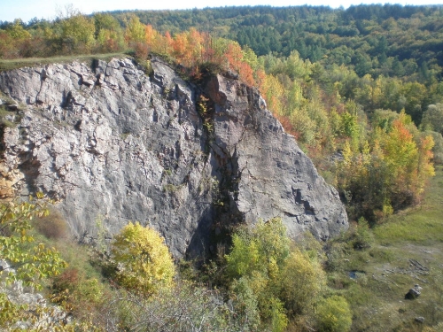 Obrázek