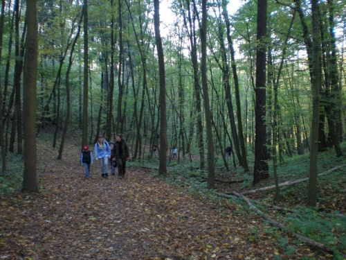 Obrázek
