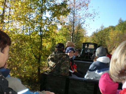 Obrázek
