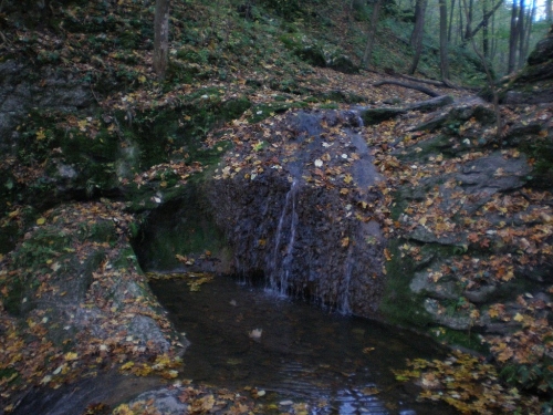 Obrázek