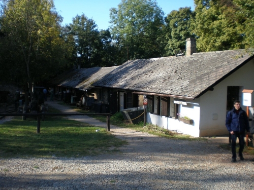 Obrázek