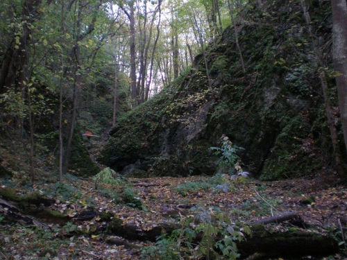 Obrázek