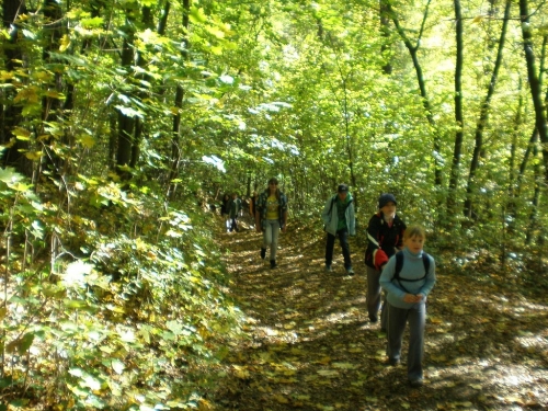 Obrázek