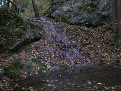 Obrázek