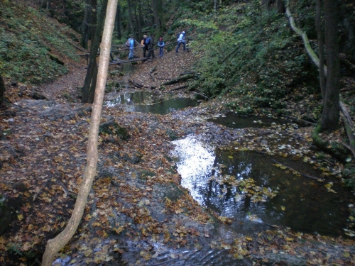 Obrázek