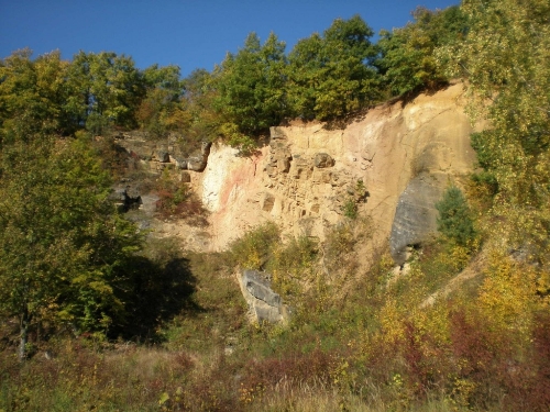 Obrázek