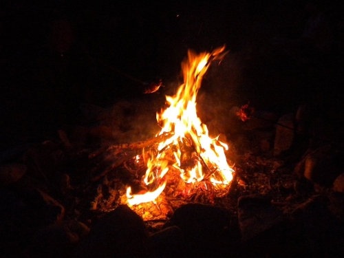 Obrázek