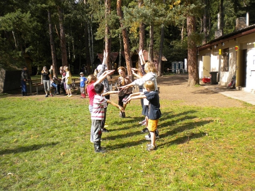 Obrázek