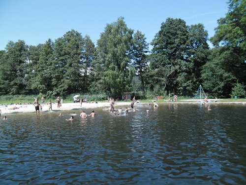 Obrázek