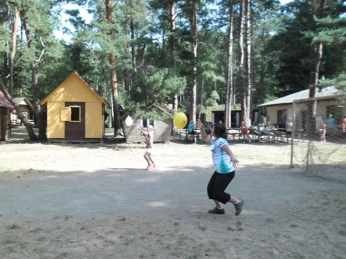 Obrázek