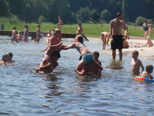 Obrázek