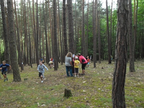 Obrázek