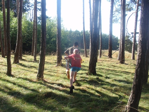 Obrázek