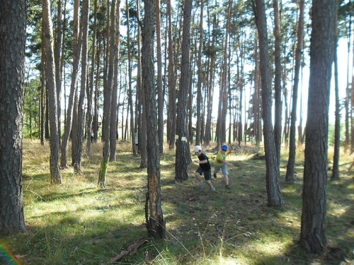 Obrázek