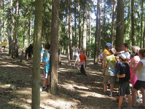 Obrázek