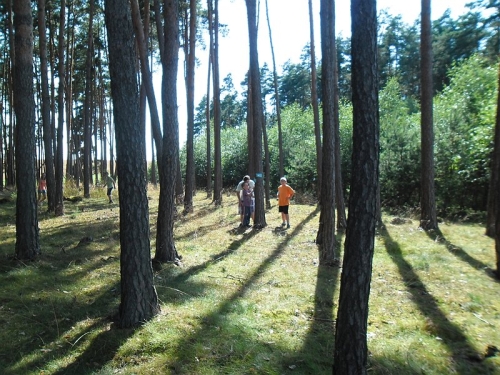 Obrázek
