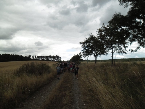 Obrázek