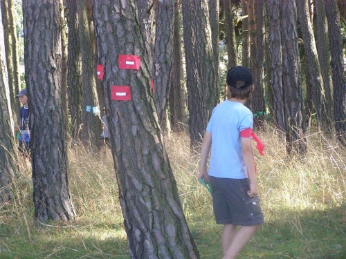Obrázek