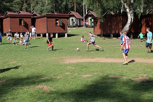 Obrázek
