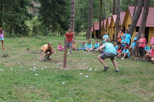 Obrázek