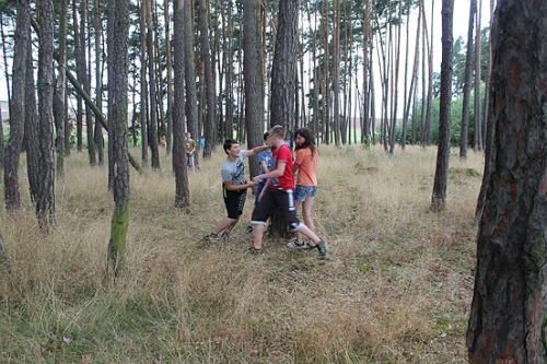 Obrázek