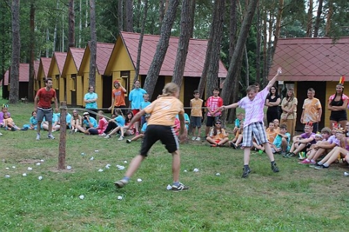 Obrázek