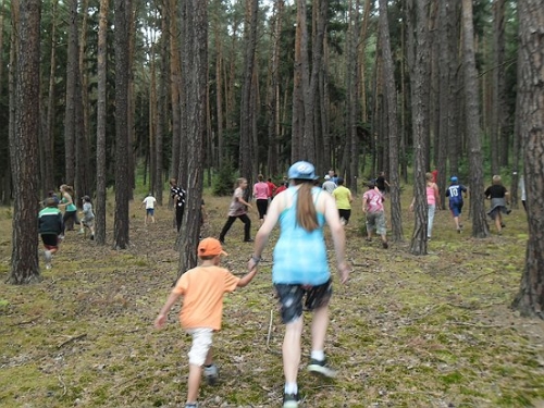 Obrázek