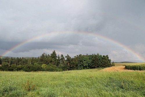 Obrázek