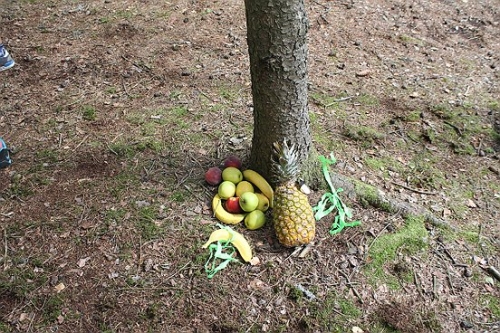 Obrázek