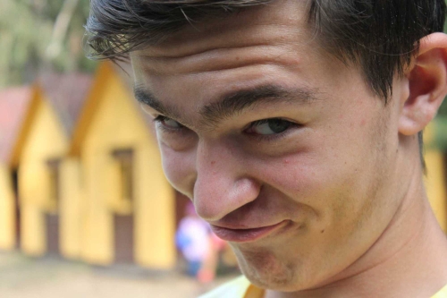 Obrázek