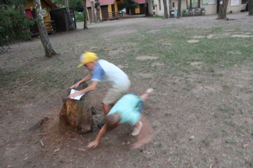 Obrázek