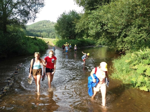 Obrázek