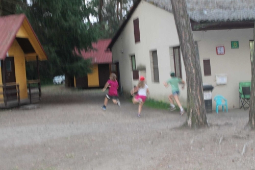 Obrázek