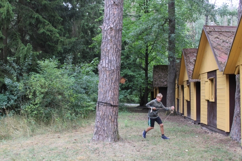 Obrázek