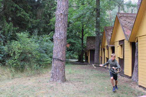 Obrázek